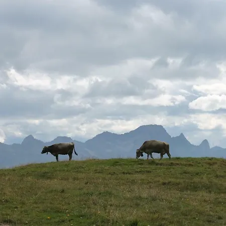 Ruef Wohlfuehl-apartments *