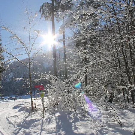 Ruef Wohlfuehl-apartments * Au (Bregenz)